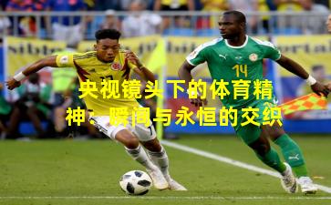 央视镜头下的体育精神：瞬间与永恒的交织