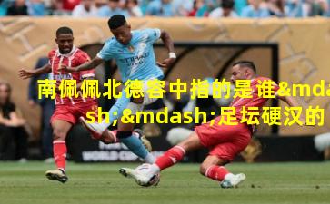 南佩佩北德容中指的是谁——足坛硬汉的代名词