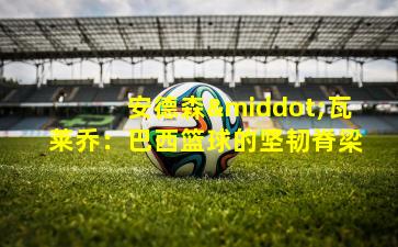 安德森·瓦莱乔：巴西篮球的坚韧脊梁