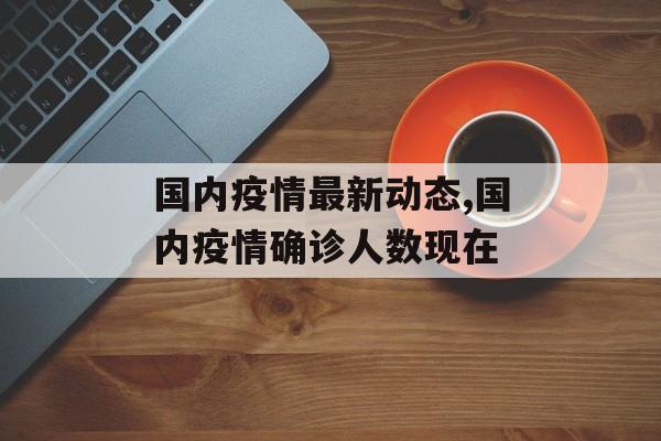 国内疫情最新动态,国内疫情确诊人数现在